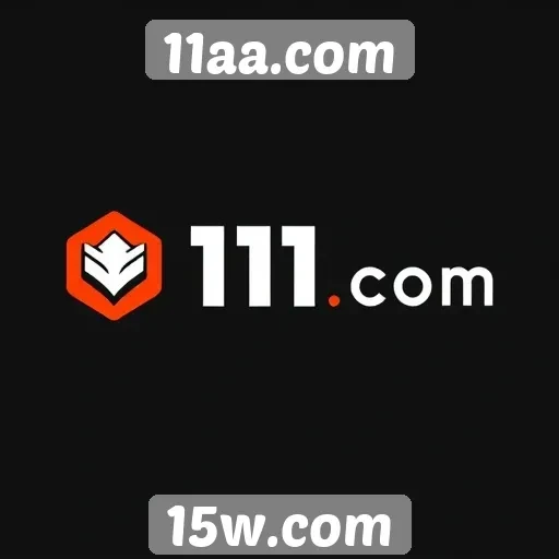 História e evolução do 11aa.com no mercado